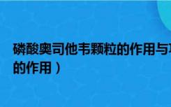 磷酸奥司他韦颗粒的作用与功效吃多少（磷酸奥司他韦颗粒的作用）