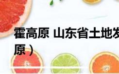 霍高原 山东省土地发展集团有限公司（霍高原）