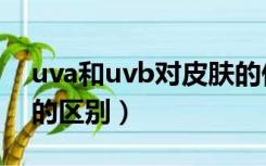 uva和uvb对皮肤的伤害哪个大（uva和uvb的区别）