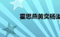 霍思燕黄奕杨溢（霍思燕黄奕）