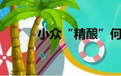 小众“精酿”何以热销大众市场